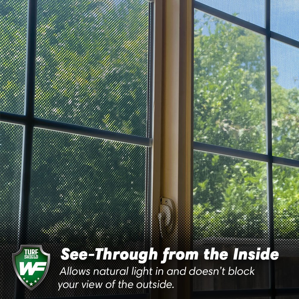 Allow natural light into your home with Turf Sheild Window Film 